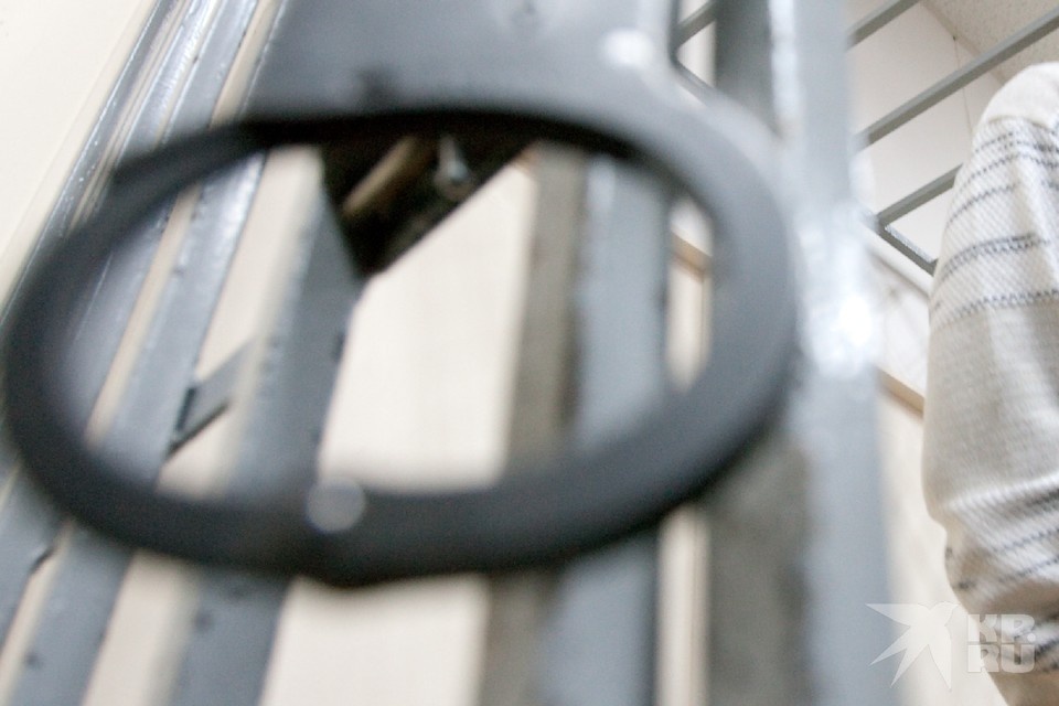    Мужчину, задержанного в Рязани, осудили за незаконное пересечение границы РФ.