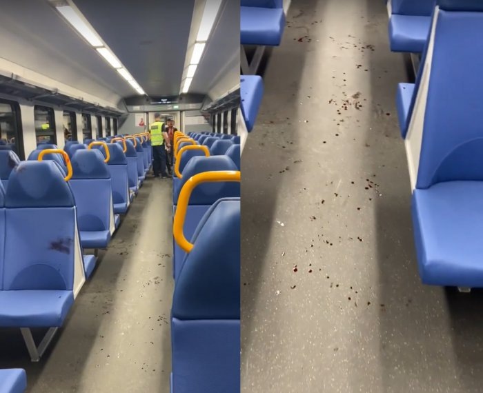 Фото: Типичное Болотное