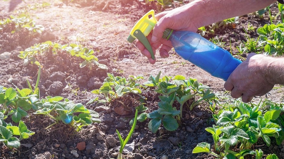 Здесь и далее фото ShutterStock/Fotodom.ru 