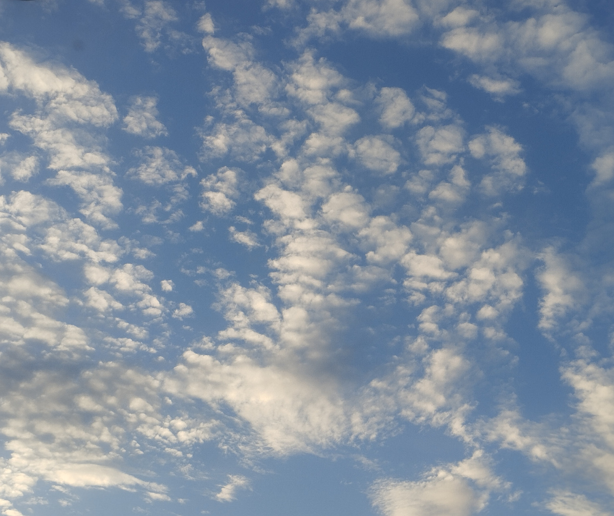 Волшебство природы для настроения