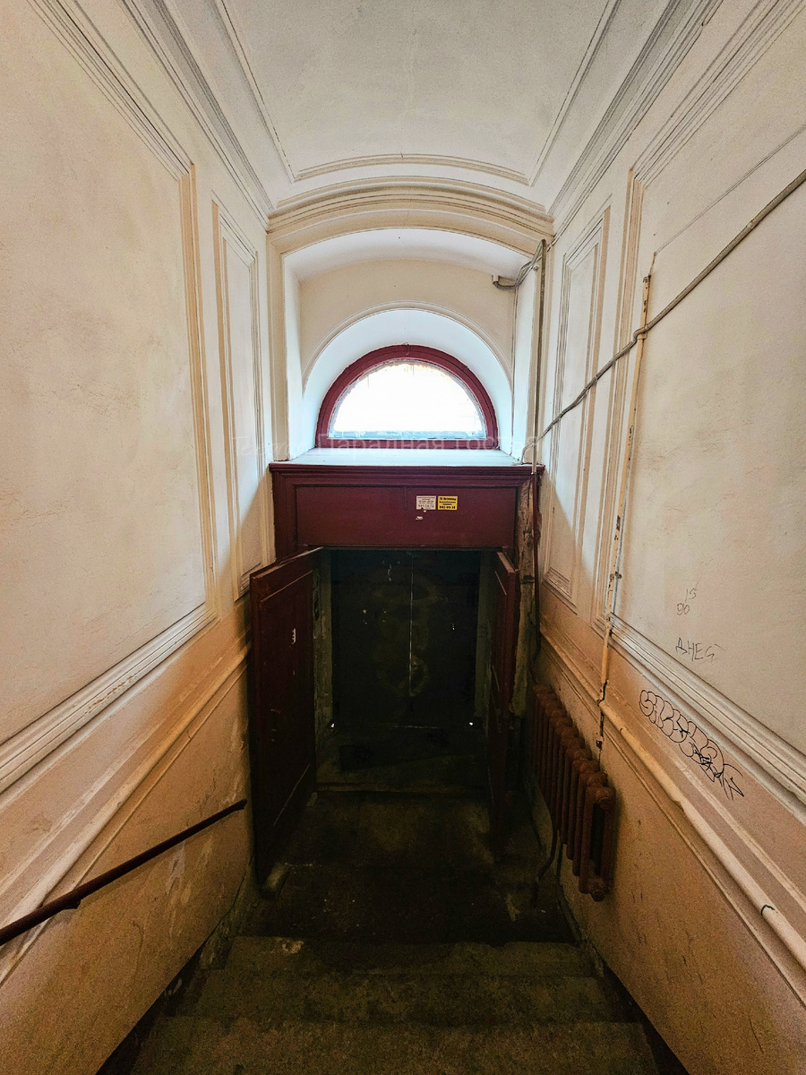 Фото: Парадная гостья