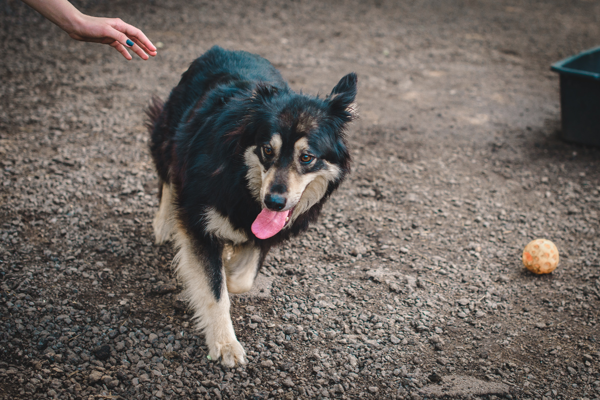 Читаем дальше! У меня всё получилось!