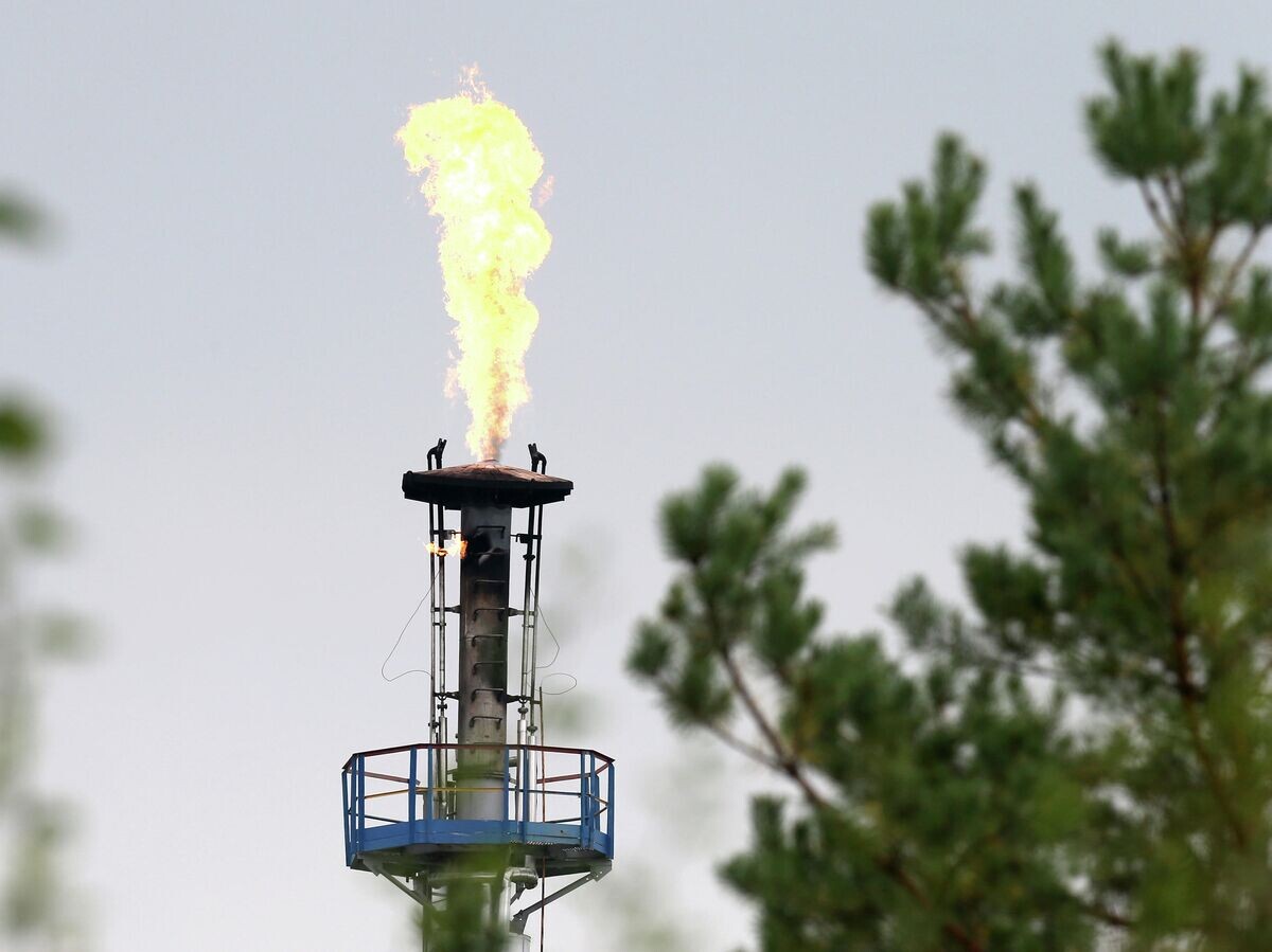    Нефтеперерабатывающий завод и нефтепровод "Дружба"© РИА Новости / Егор Еремов