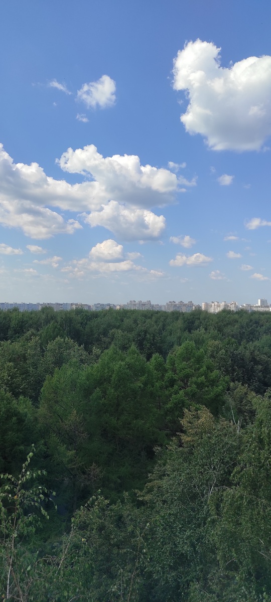 А окошко бы помыть надо 😀