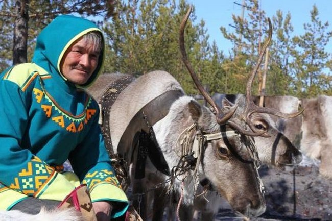    коренные народы ХМАО
