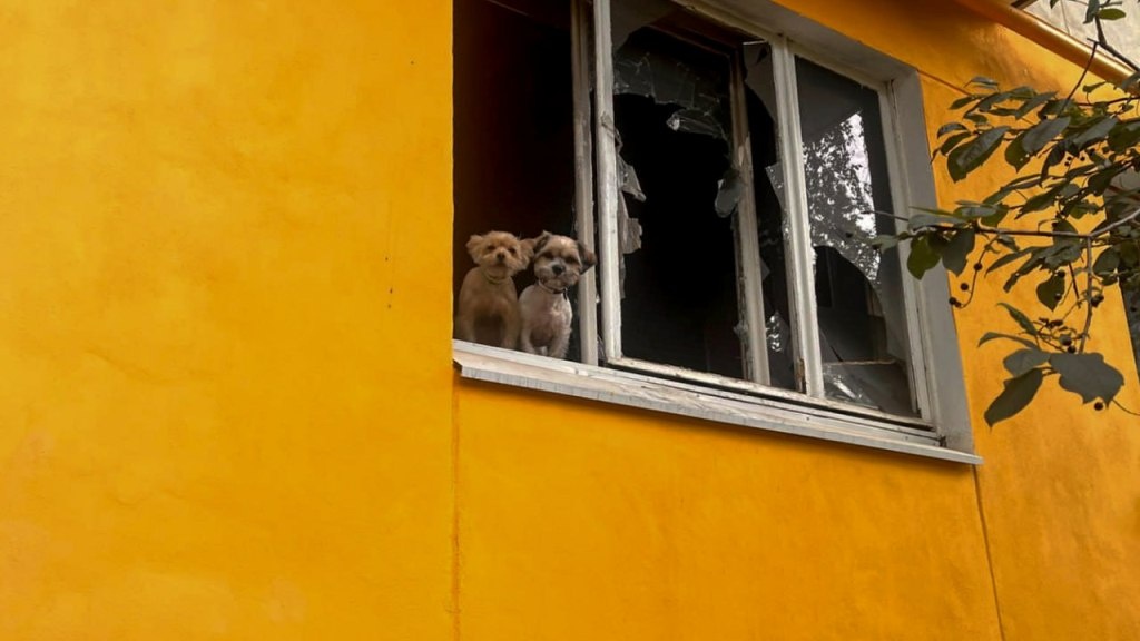    Фото ГУ МЧС по Свердловской области