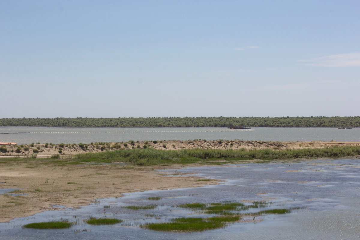 Берег Краснодарского водохранилища, напоминает лиманы Азовского моря