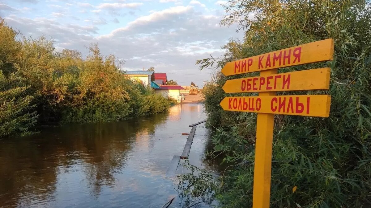     Автор: Аркадий Шохин