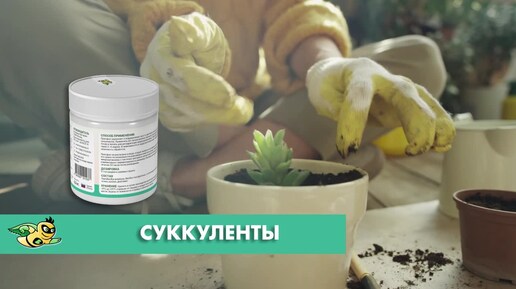 Биостимулятор для суккулентов