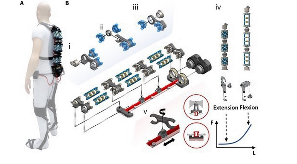   Jae In Kim et al. / Science Robotics, 2024