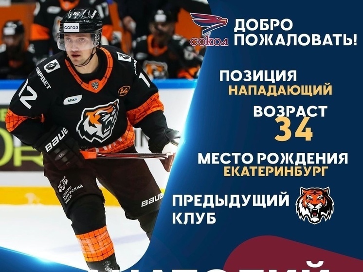     Фото: ХК "Сокол"