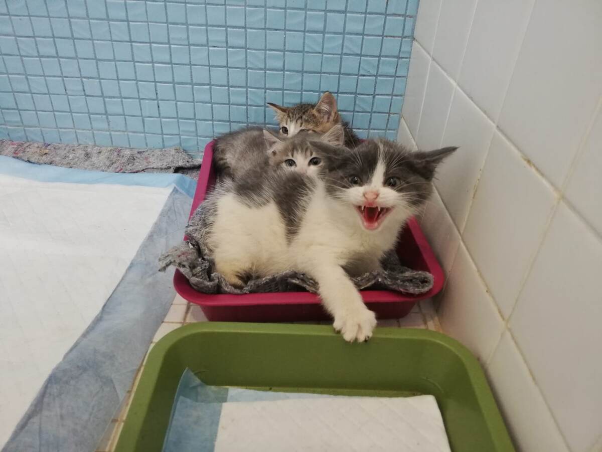 Они нас не просто не любили)) Они нас очень не любили))