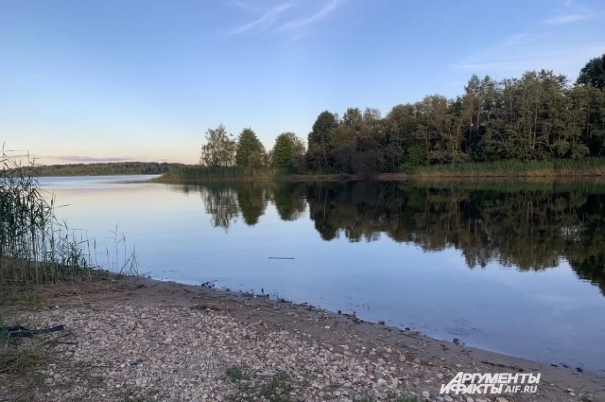    В Порховском районе женщина по ошибке избила прохожую