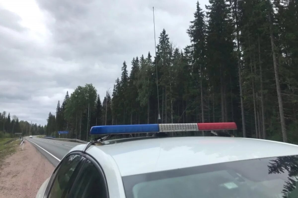    Трое детей и двое взрослых погибли в массовом ДТП с грузовиками на Кубани