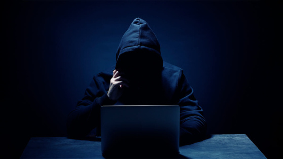    Россия стала лидером по числу объявлений о продаже данных в даркнете Анастасия Романова