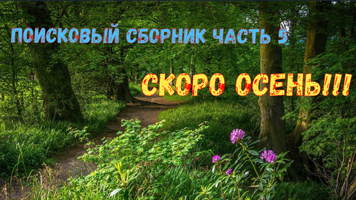 Поисковый сборник часть 5