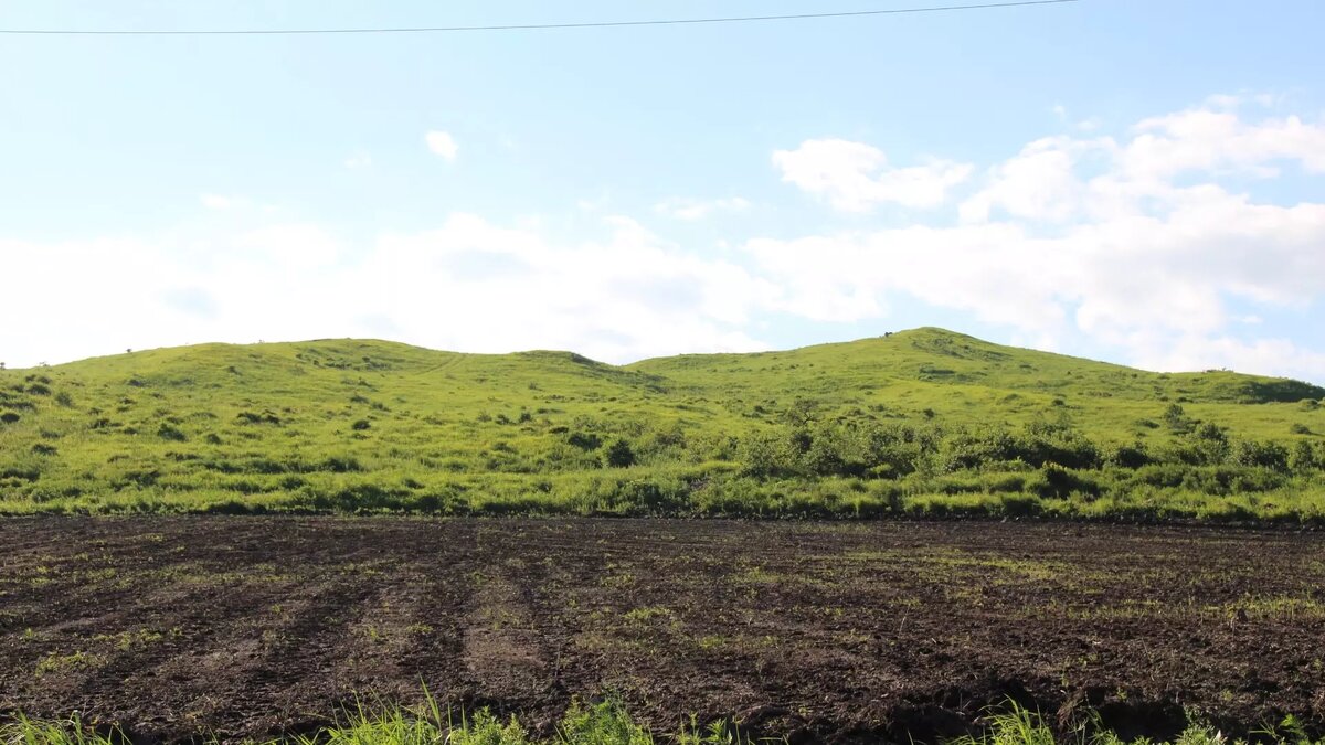     Источник: 1MI