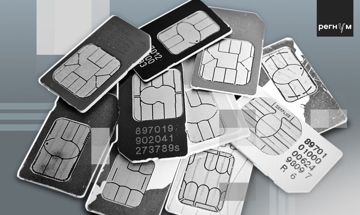     / Источник: © ИА Регнум