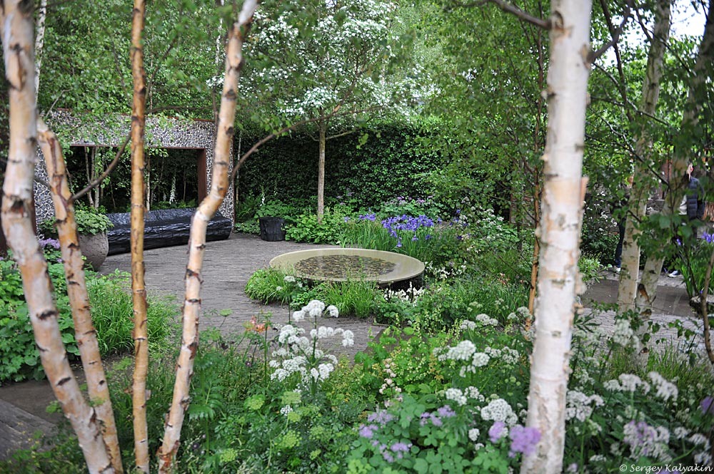 1. Сад-победитель Челси 2024 (RHS Chelsea Flower Show) "Forest Bathing Garden" Улы Марии (Ula Maria)