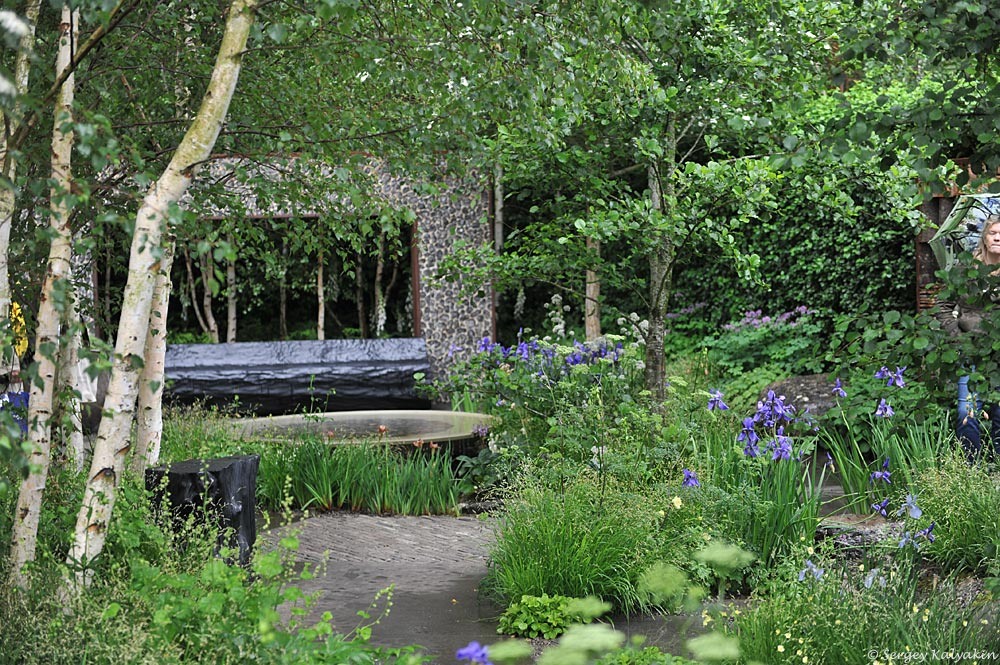 2. Сад-победитель Челси 2024 (RHS Chelsea Flower Show) "Forest Bathing Garden" Улы Марии (Ula Maria)