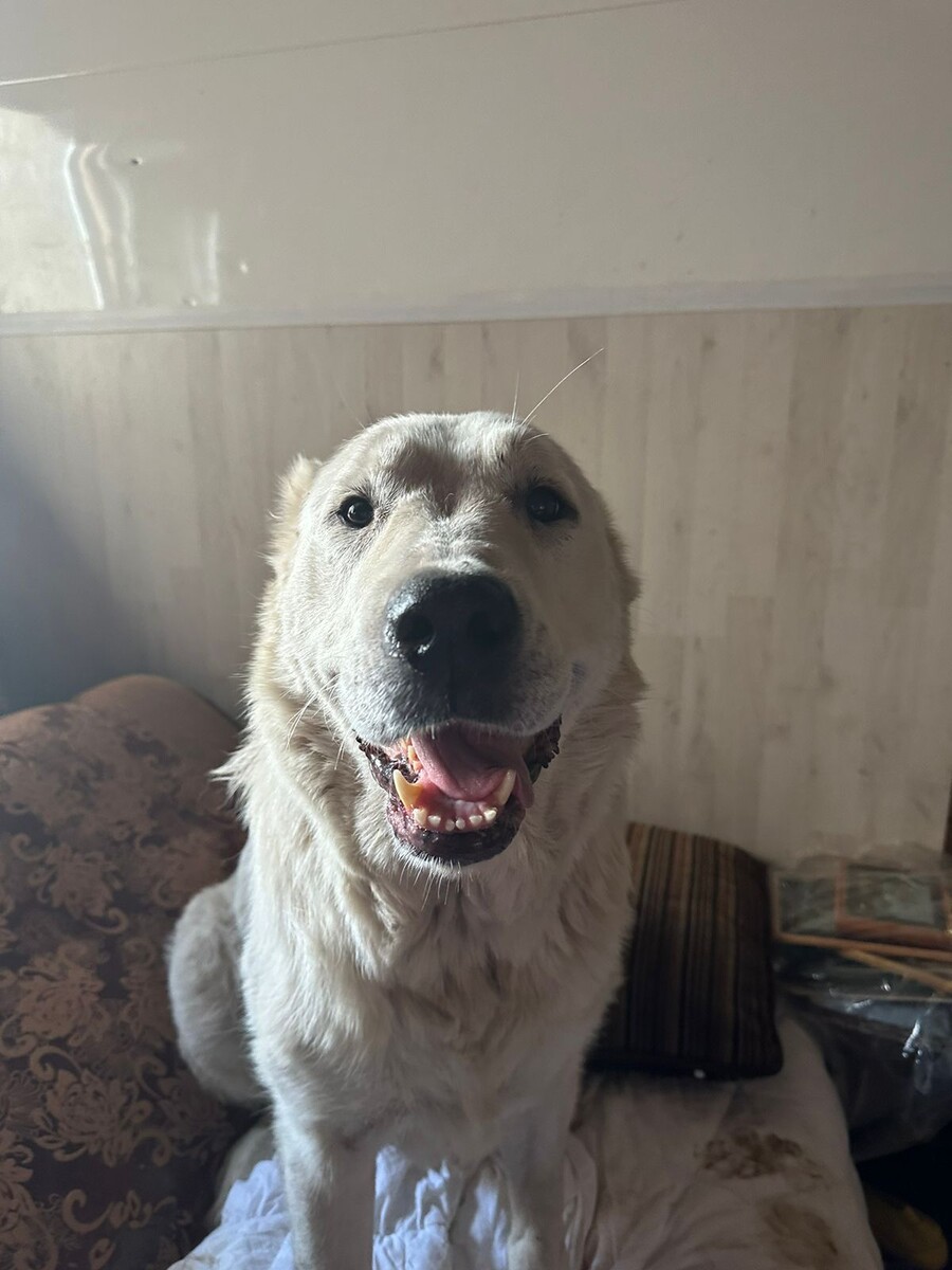 Мамочка Баста