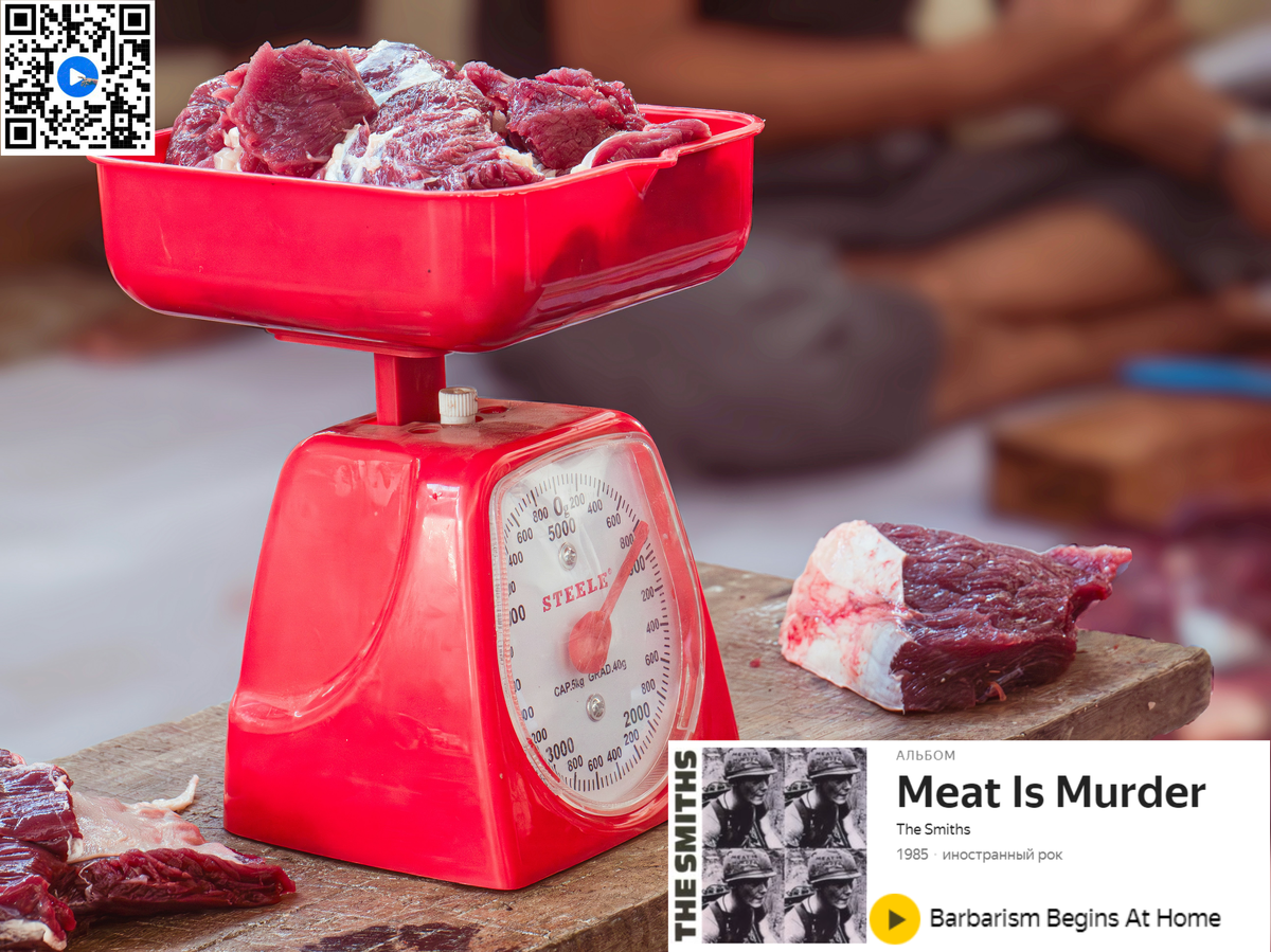 Источник фотографии сайт: https://unsplash.com/ 