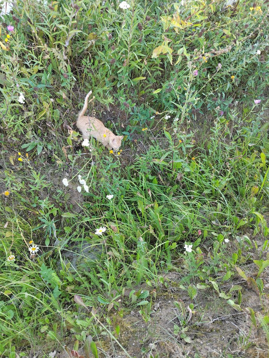 Вот она выбегала 