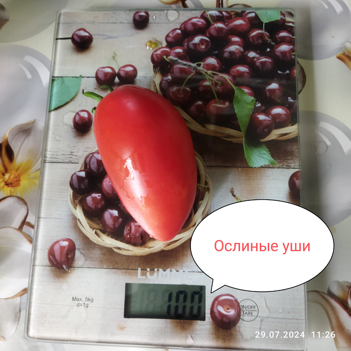 Средний размер