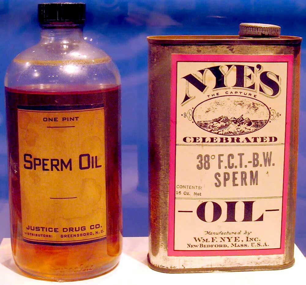 Масло, полученное из кашалотов, mobydick-hermanmelville.com