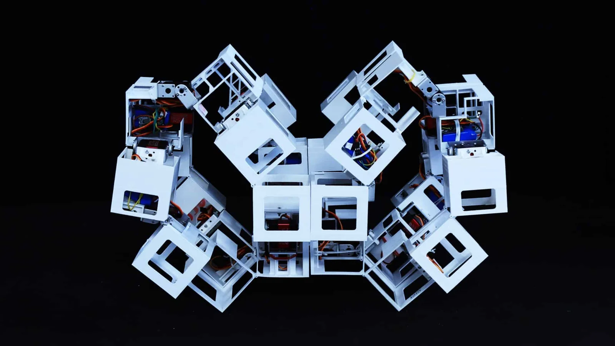 Источник: NC State University