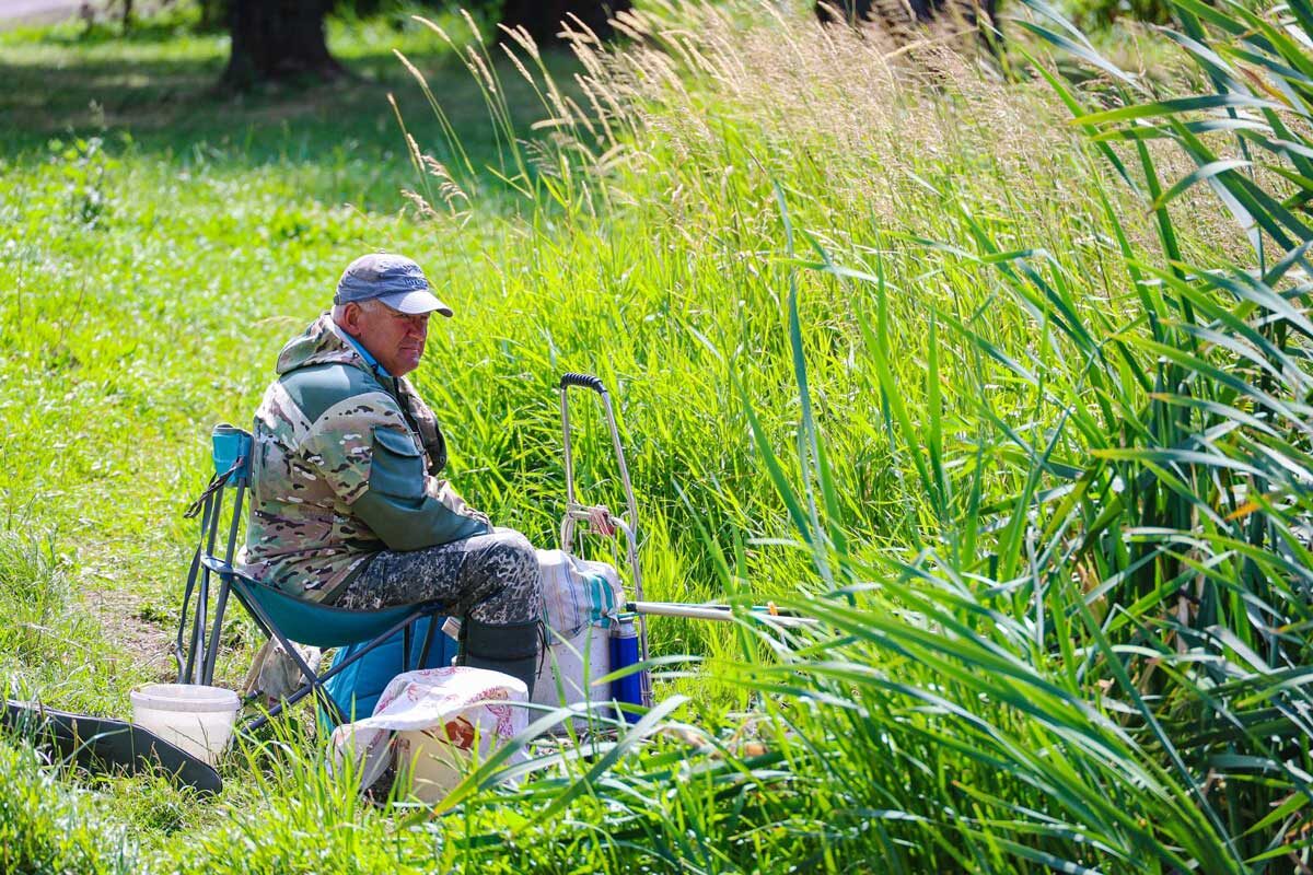    Снимок носит иллюстративный характер. Фото: Tochka.by