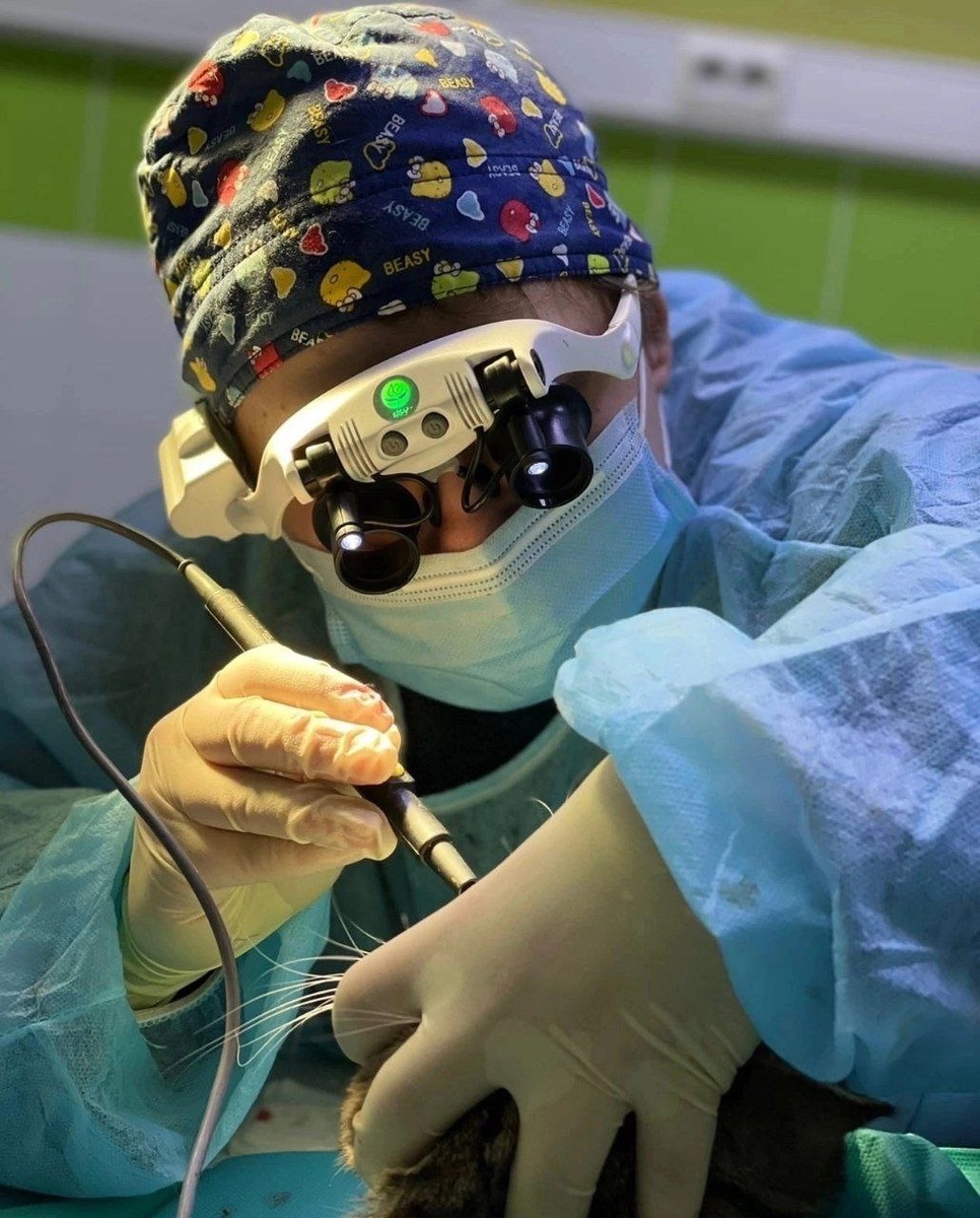 Ветеринарные врачи в Челябинске