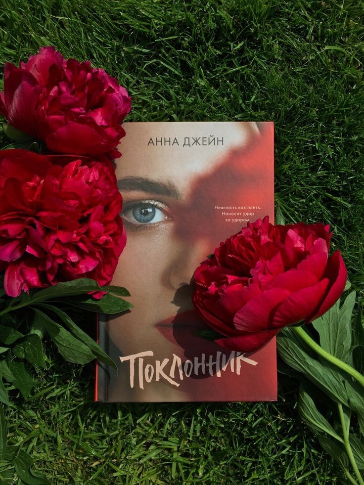 Книга Анны Джейн "Поклонник". Роман 18+ от любви до ненависти 