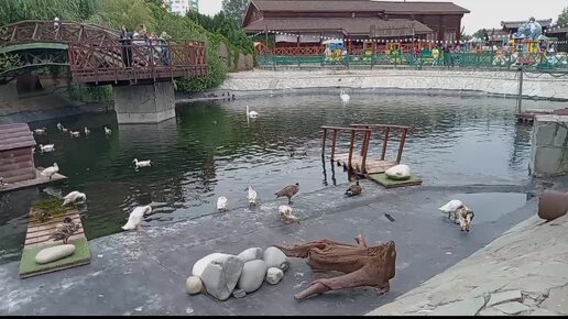 Сверхбыстрый обзор зоопарка в Ижевске. Восторг от пейзажей и размаха.