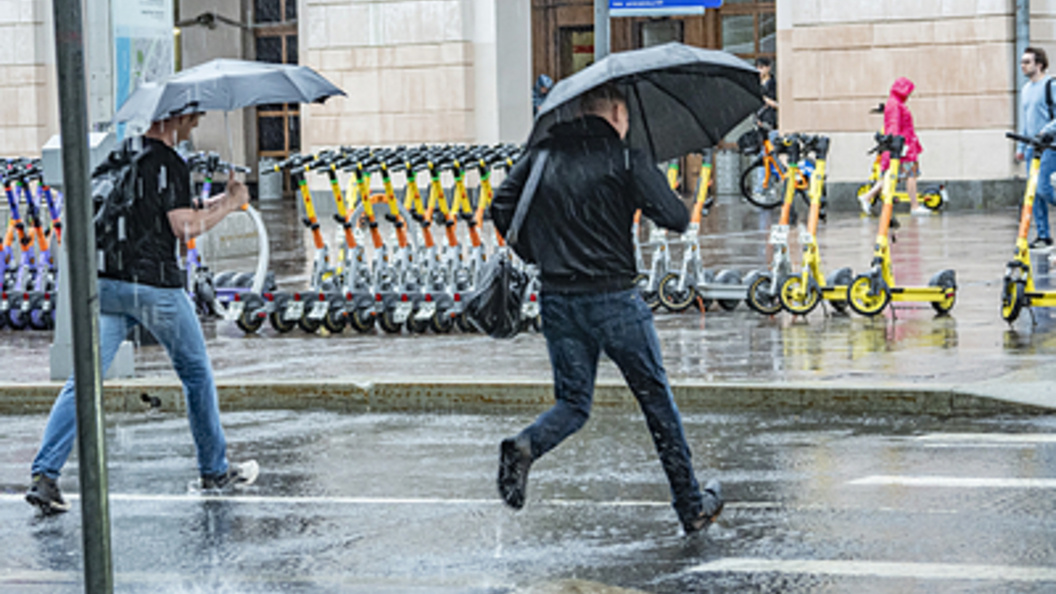    Фото: Konstantin Kokoshkin/Globallookpress.