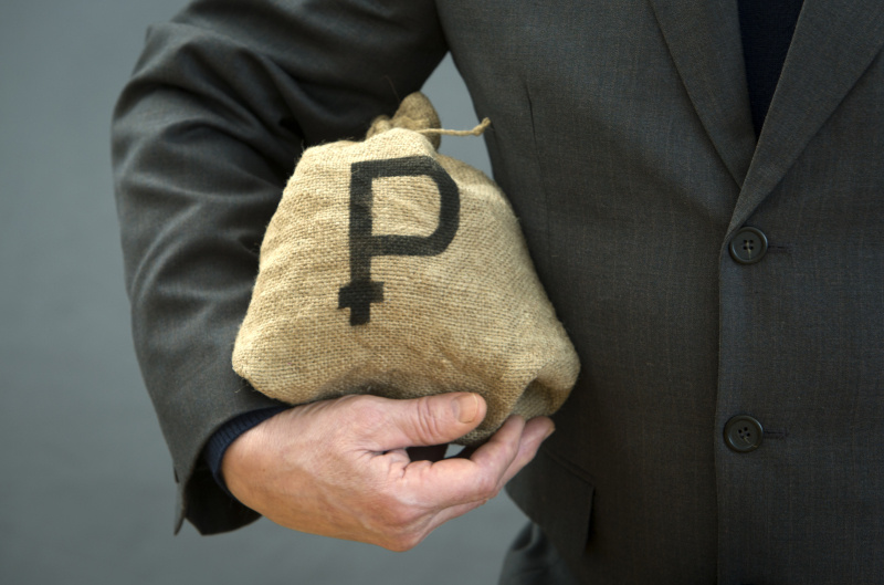    Фото: Nikolay Gyngazov/Globallookpress