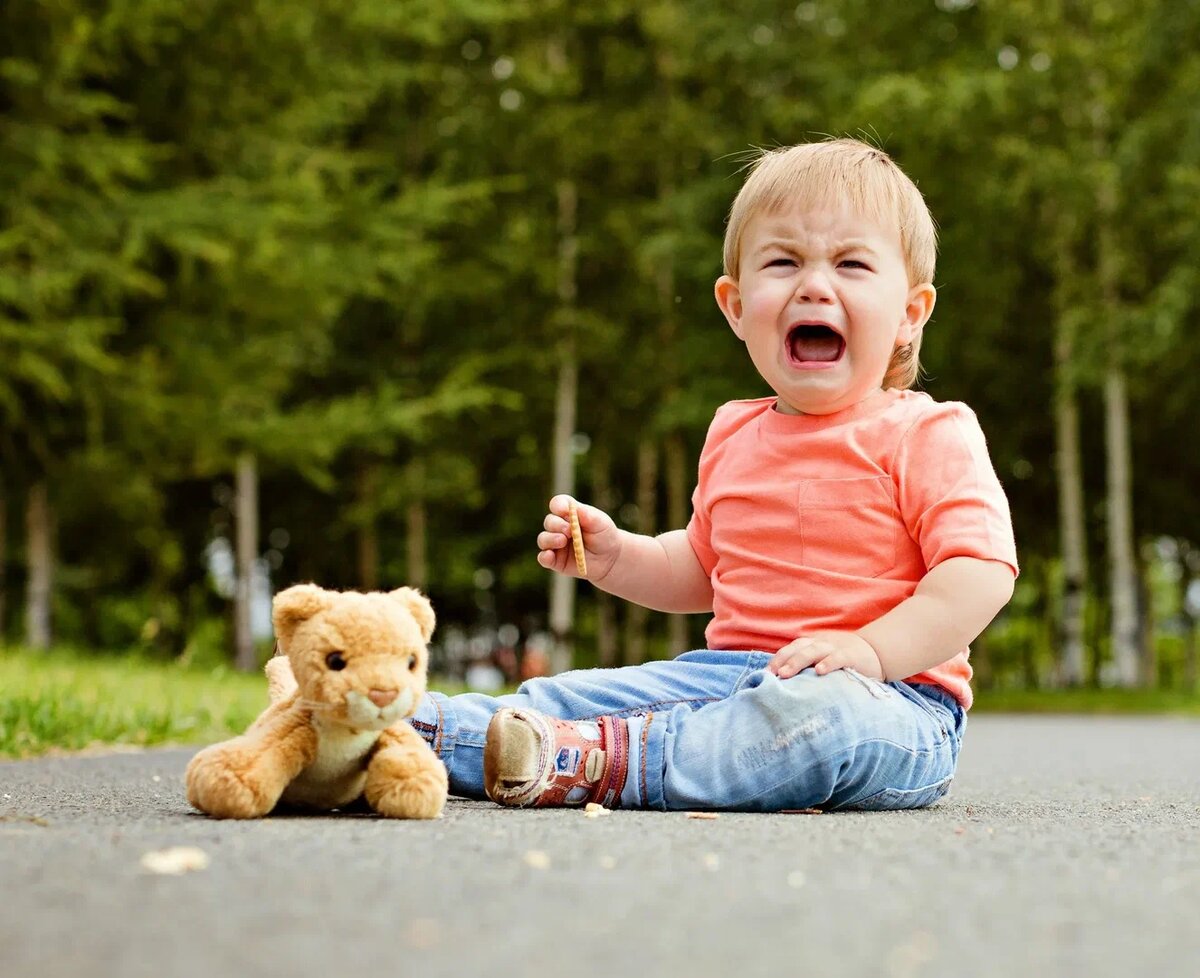 Изображение из открытого источника в интернете. 