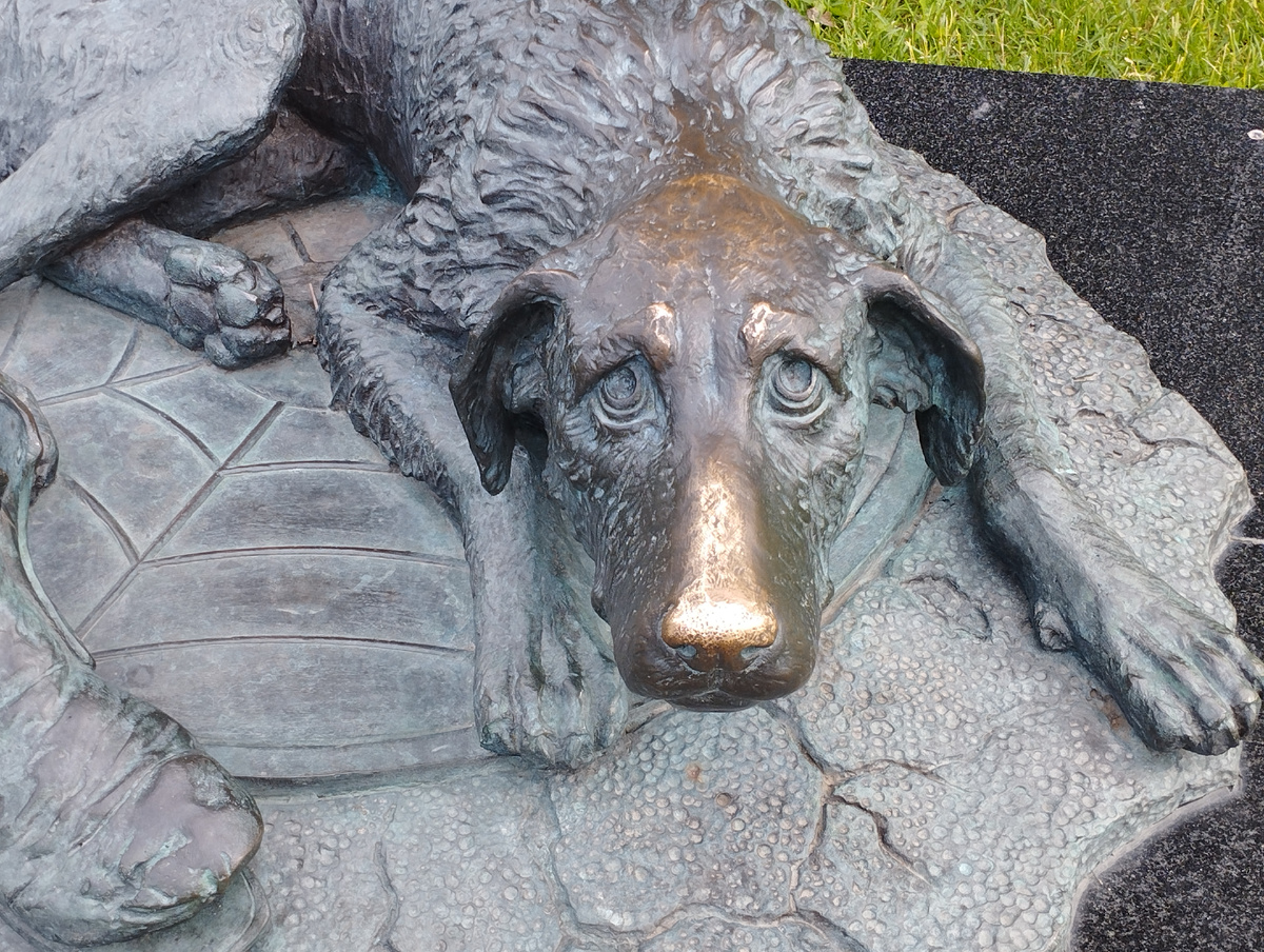 Памятник бездомным животным (ФОТО АВТОРА) 
