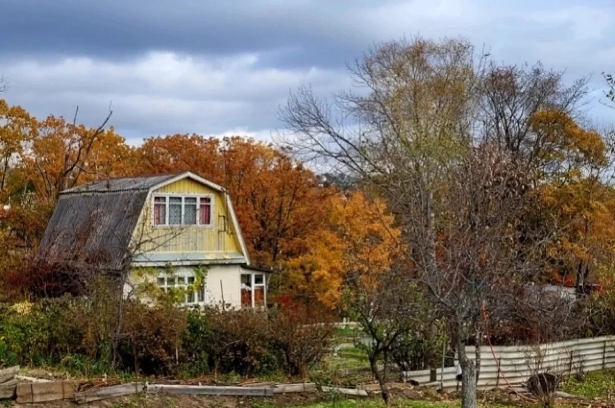    Ветераны СВО могут рассчитывать на получение земли.