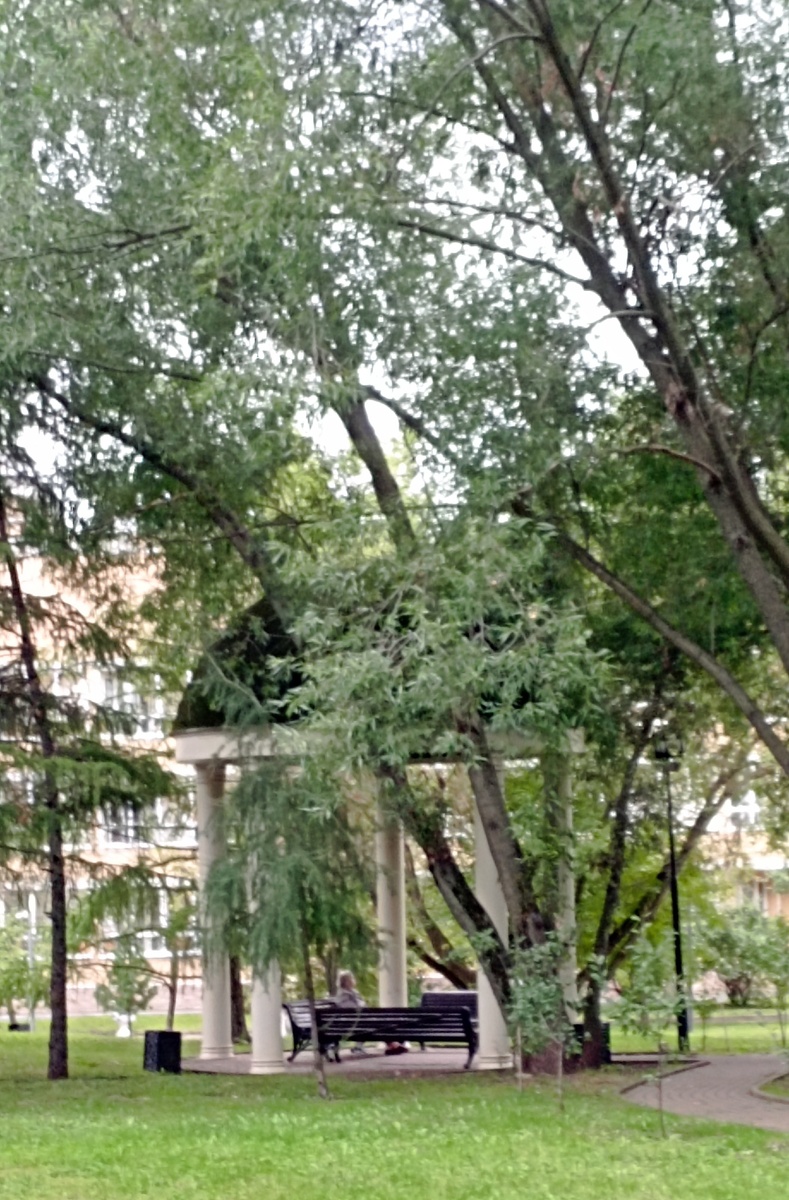 Екатерининский парк. Беседка. 29.07.2024 г, понедельник. Здесь и далее фото автора или из личного архива автора, если не указано иначе.