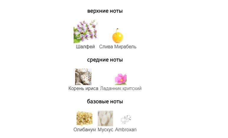 fragrantica.ru
