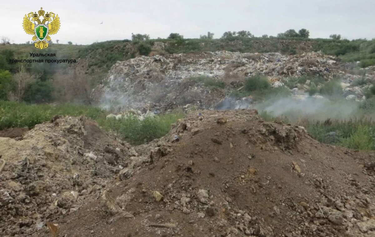    Полетам из аэропорта Оренбурга угрожали птицы со свалки