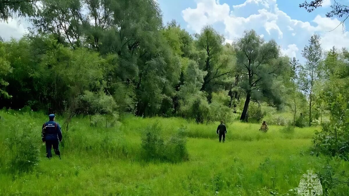     Источник: МЧС России по Тюменской области