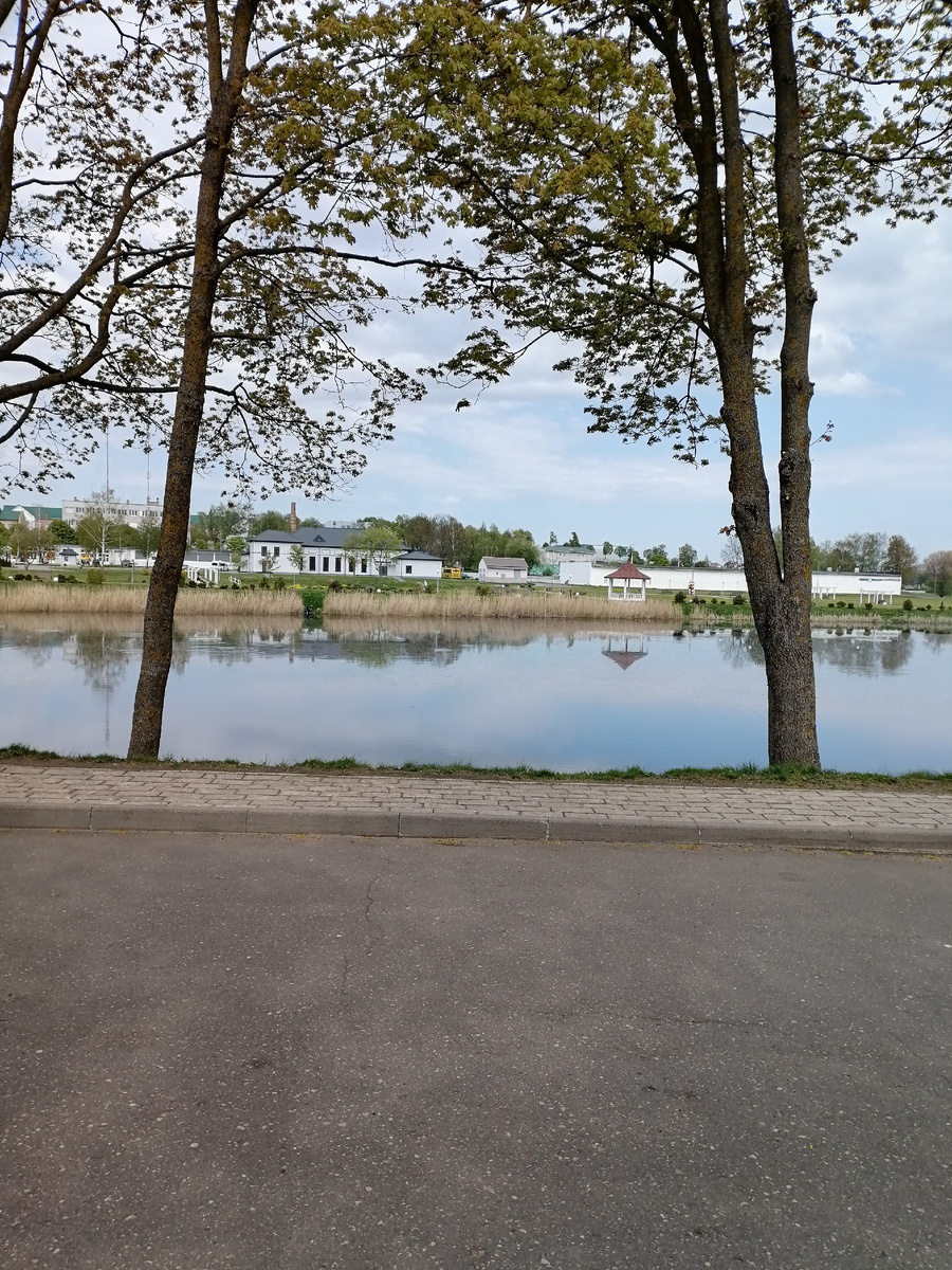 Пруды в Несвижском парке