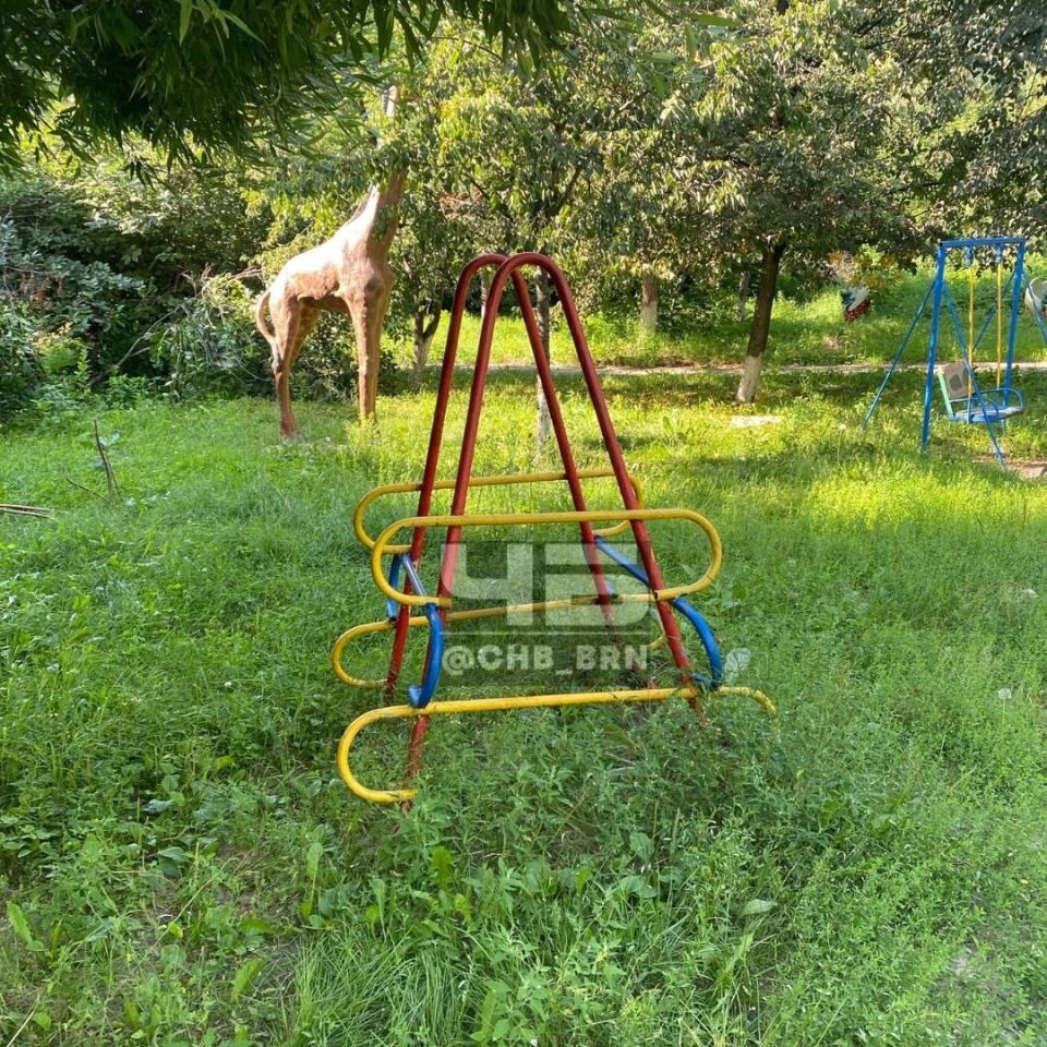    Заросшая детская площадка. Источник: t.me/chb_brn