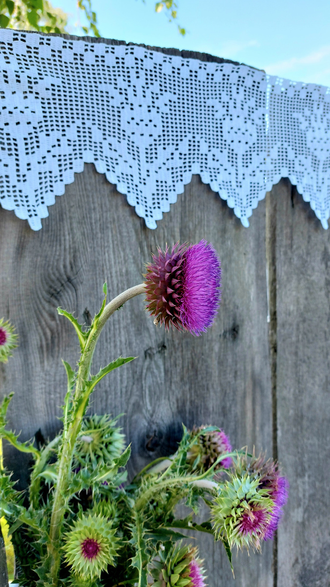 Из личного фотоархива Sw. Sein