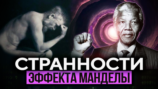 Змеиное логово ава. Дзен логово. Дзен логово. Комната в стиле викингов. Дзен логово.
