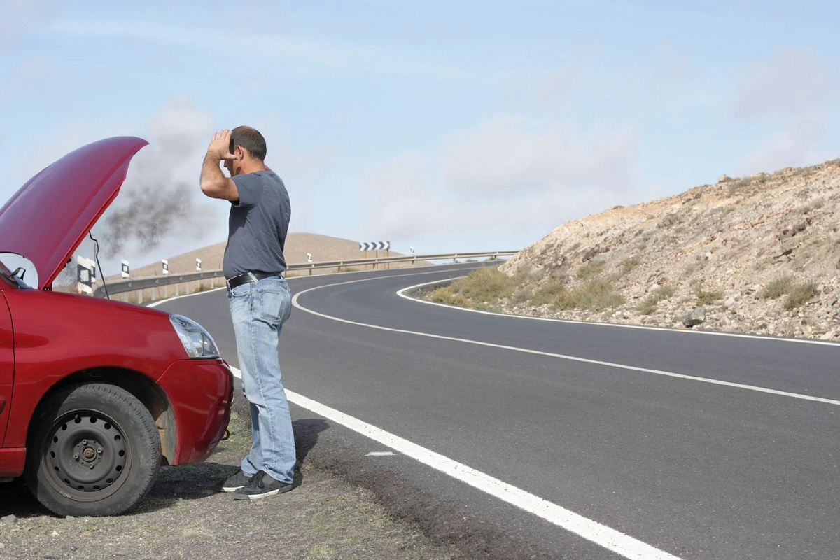 Фото из Яндекс.