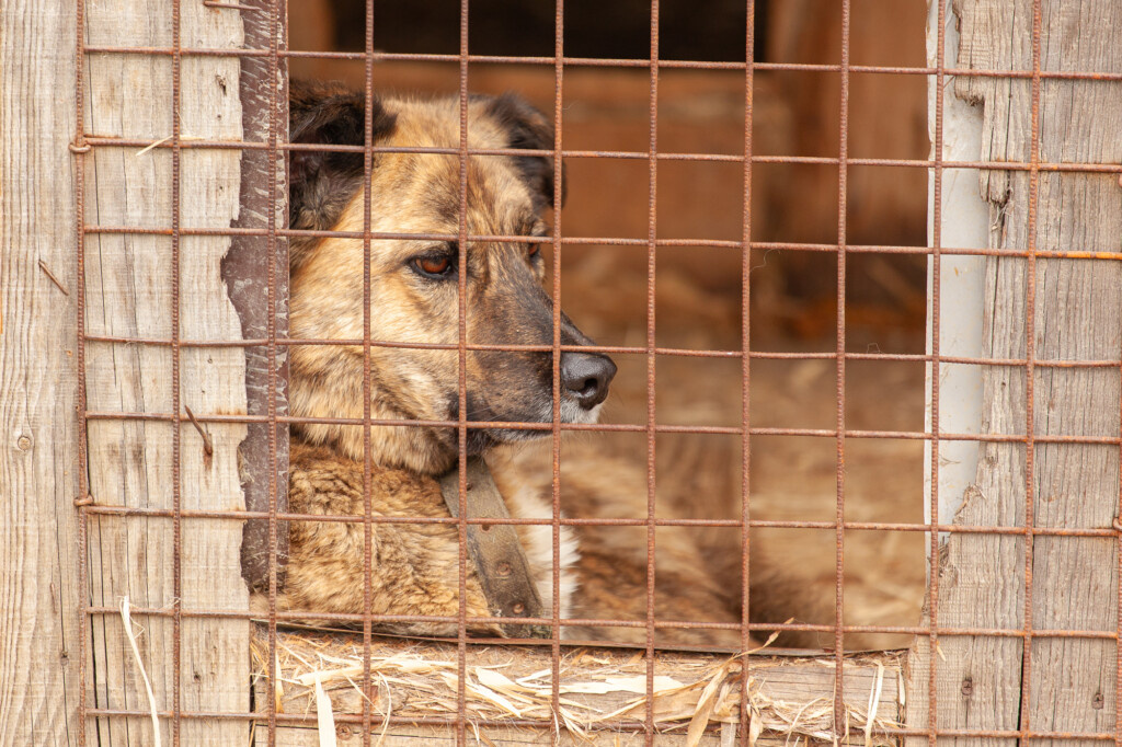 Фото: Михаил Никитин / АСИ