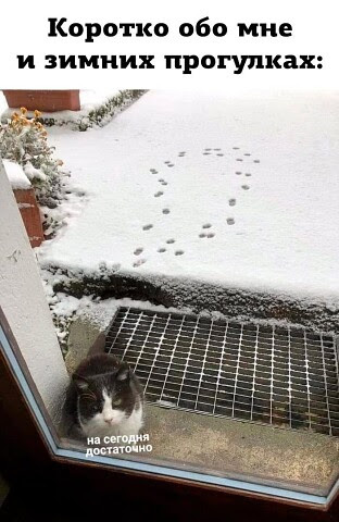 Фото из сети Интернет